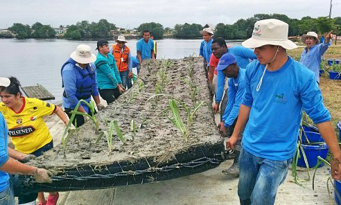 Ecuador BioHaven floating treatment wetland ftw