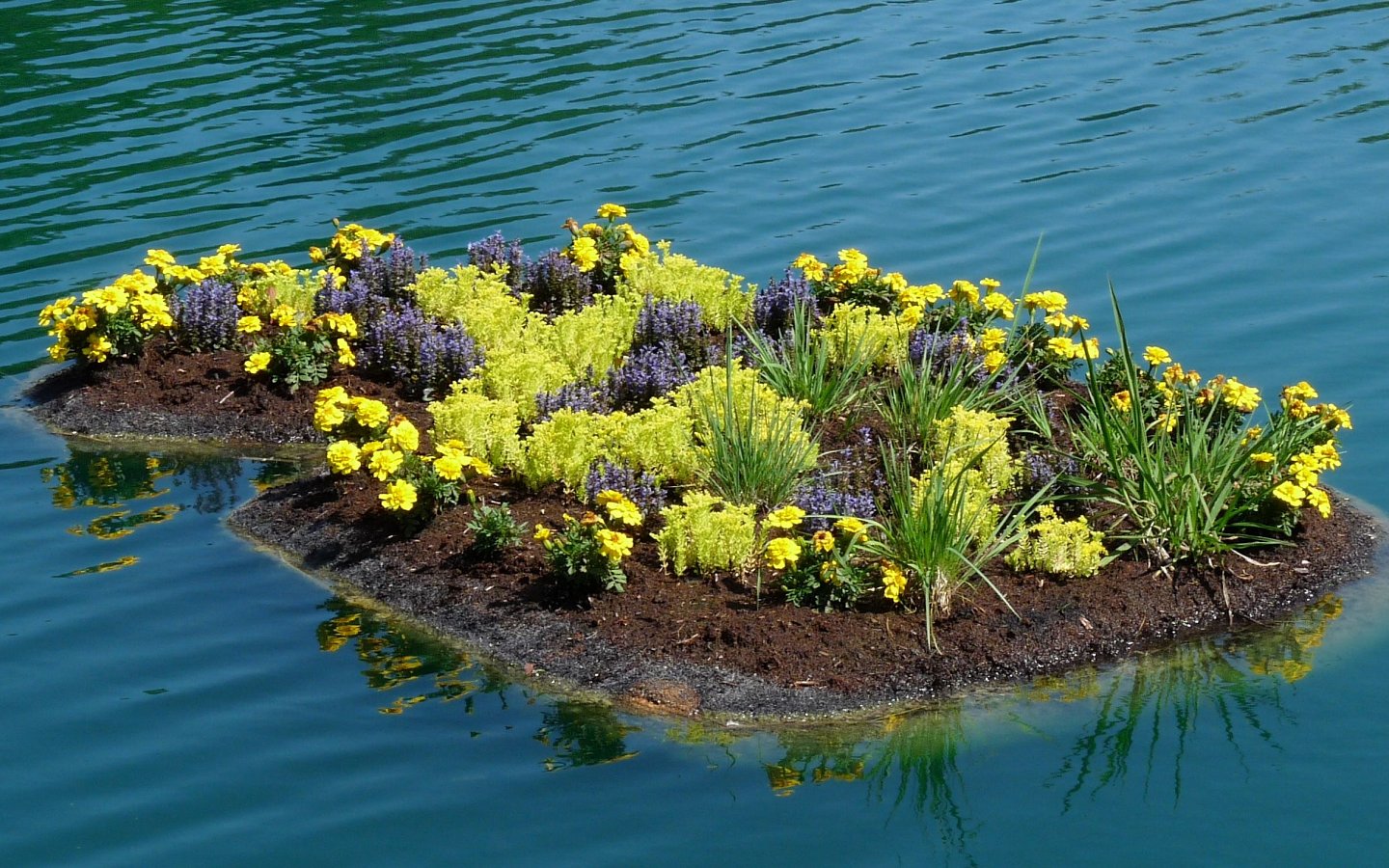 Ornamental, terrestrial flowers on floating island