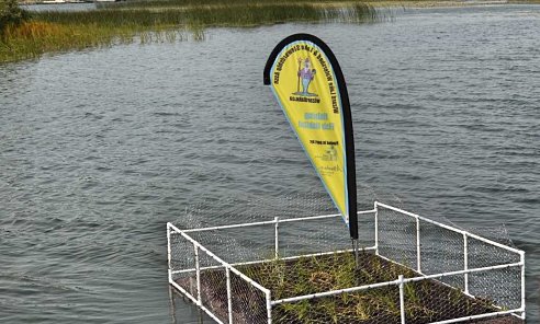 BioHaven, floating treatment wetland, FTW,