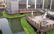 Beautification & Water Remediation in urban canals, Shanghai