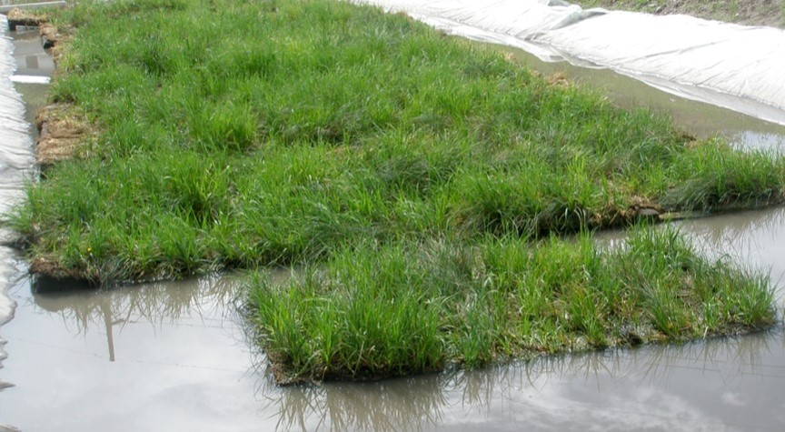 BioHaven floating treatment wetland in a leachate lagoon